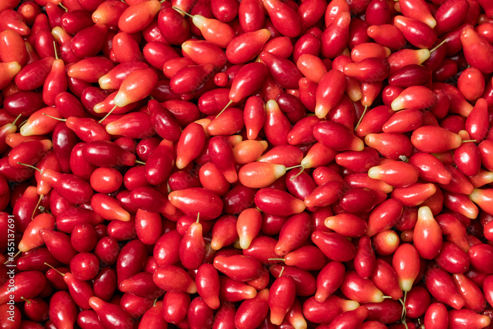 Close up background view of ripe just picked dogwood berries. Close up background view of ripe just picked dogwood berries.
