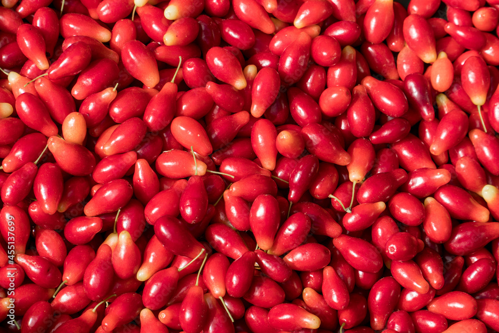 Close up background view of ripe just picked dogwood berries. Close up background view of ripe just picked dogwood berries.