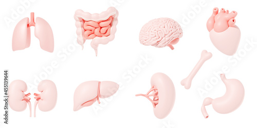 Human internal organs icon set with lungs kidneys stomach intestines brain heart spleen liver bone 3d illustration photo