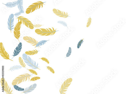 Detailed majestic feather on white design.