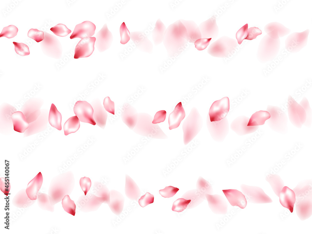 Pink sakura flower flying petals isolated on white vector background. Pink sakura flower flying petals isolated on white vector background.