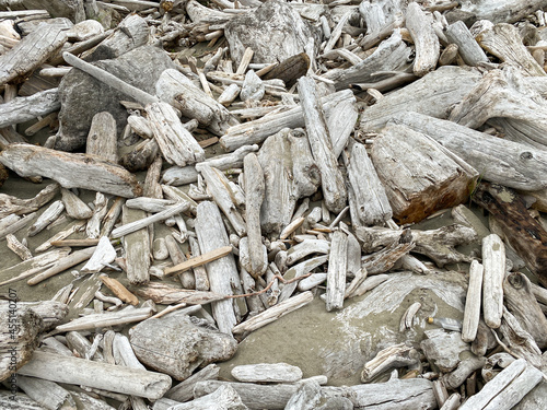 driftwood wood log shards washed up on the sandy beach