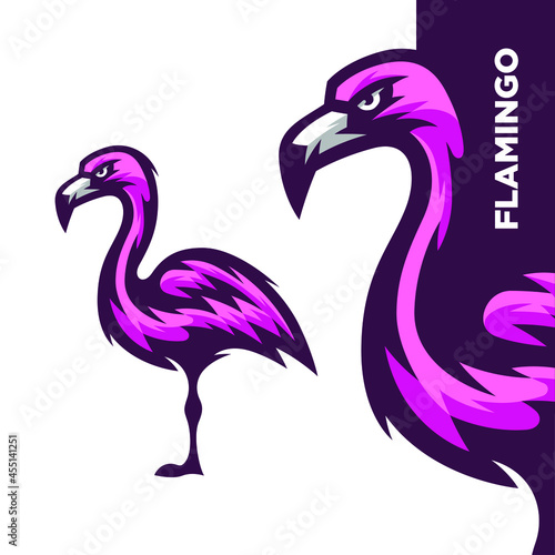 Flamingo Bird Illustration