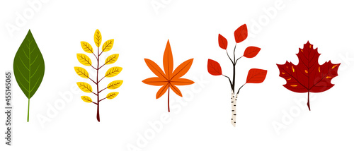 five autumn leaves of green, yellow, orange and red colors