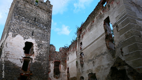 Ruine Lichtenfels am Ottensteiner Stausee photo