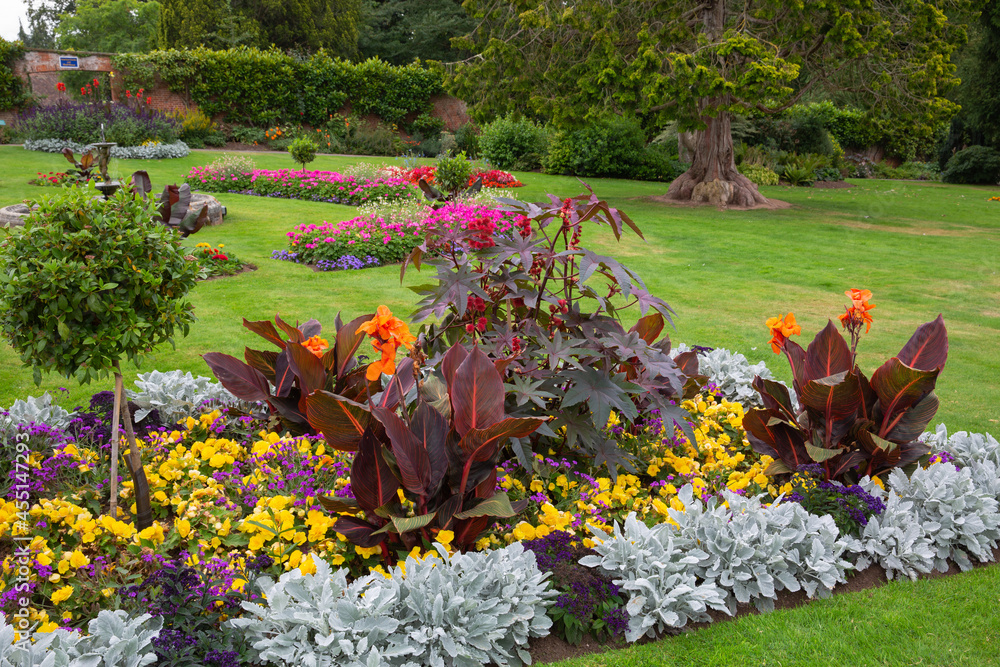 Colourful flower beds of canna lily's, daisy's and angel wings adding