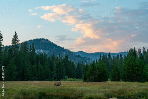 Mammoth Lakes