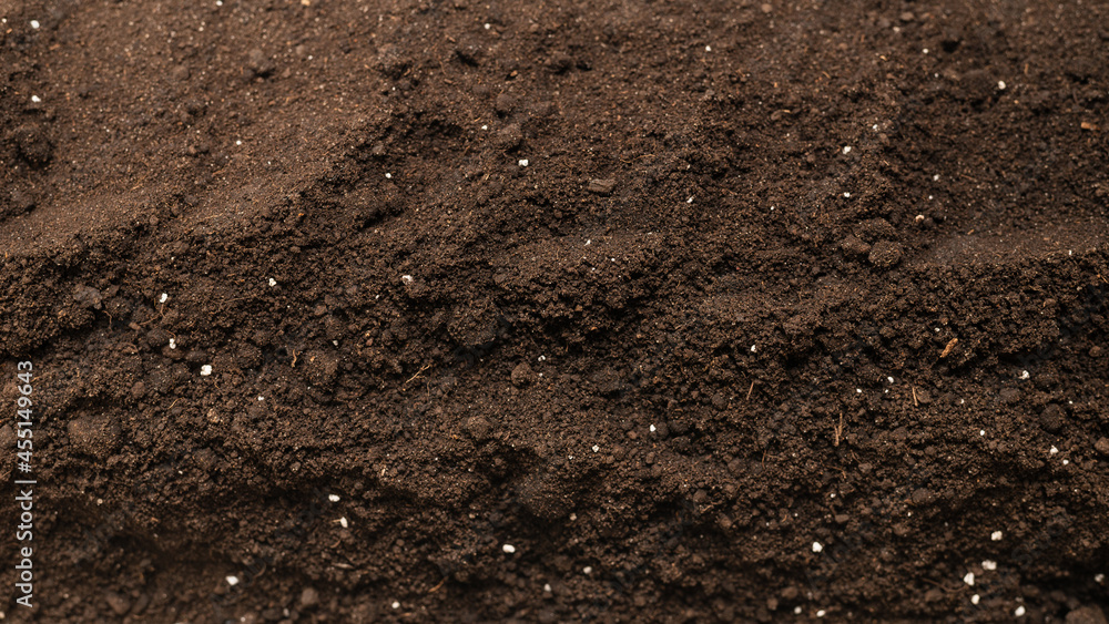 Black land for plant background. Top view. Black land for plant background. Top view.