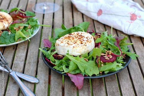 Fresh salad with lettuce, beetroot leaves, camembert cheese and sunflower seeds
