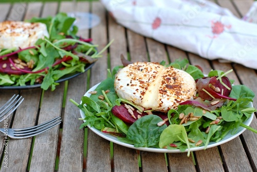 Fresh salad with lettuce, beetroot leaves, camembert cheese and sunflower seeds