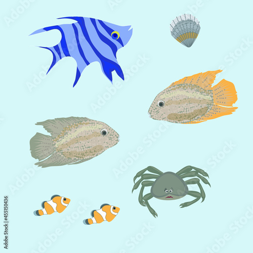 Set of exotic fish, crab and shells. Vector graphic