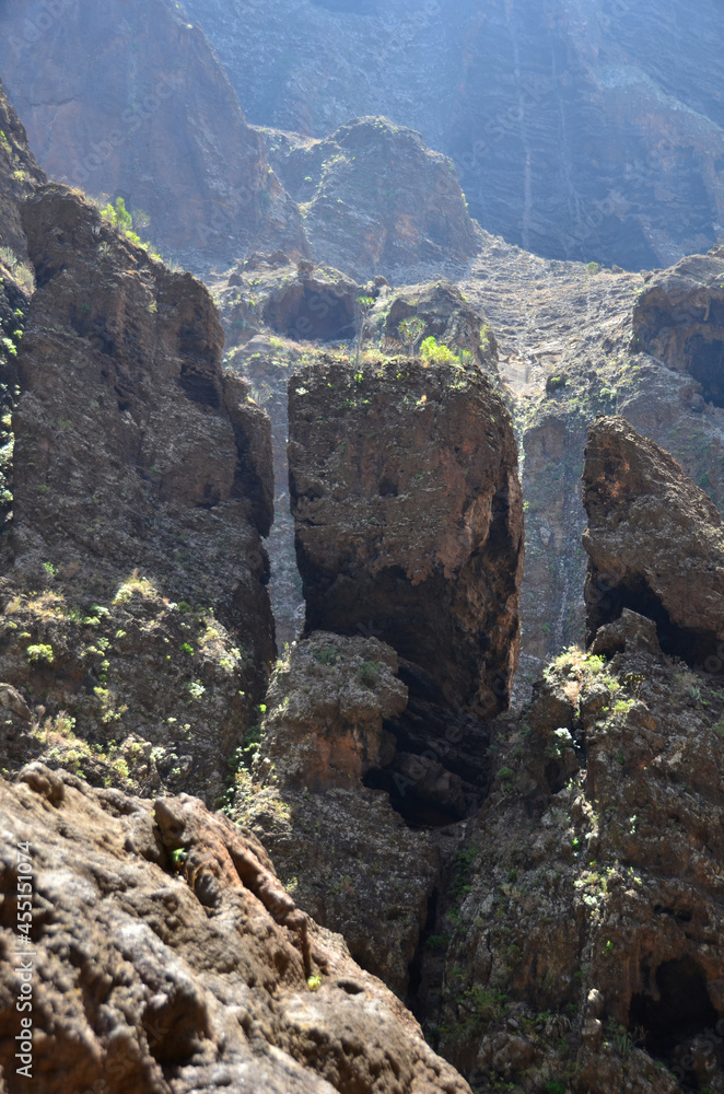BARRANCO, ISLA DE TENERIFE