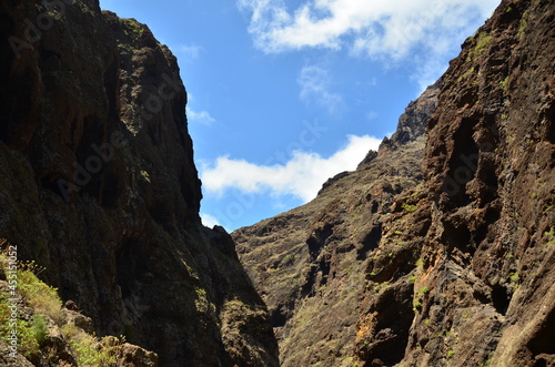 BARRANCO, ISLA DE TENERIFE