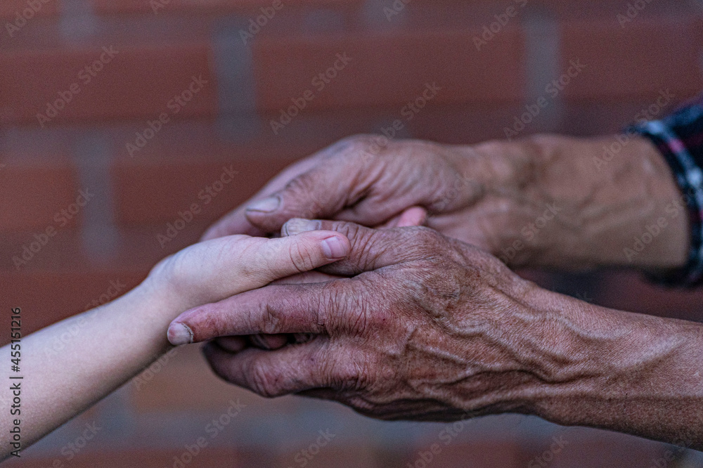 Hands close-up. An adult hand holds a child's