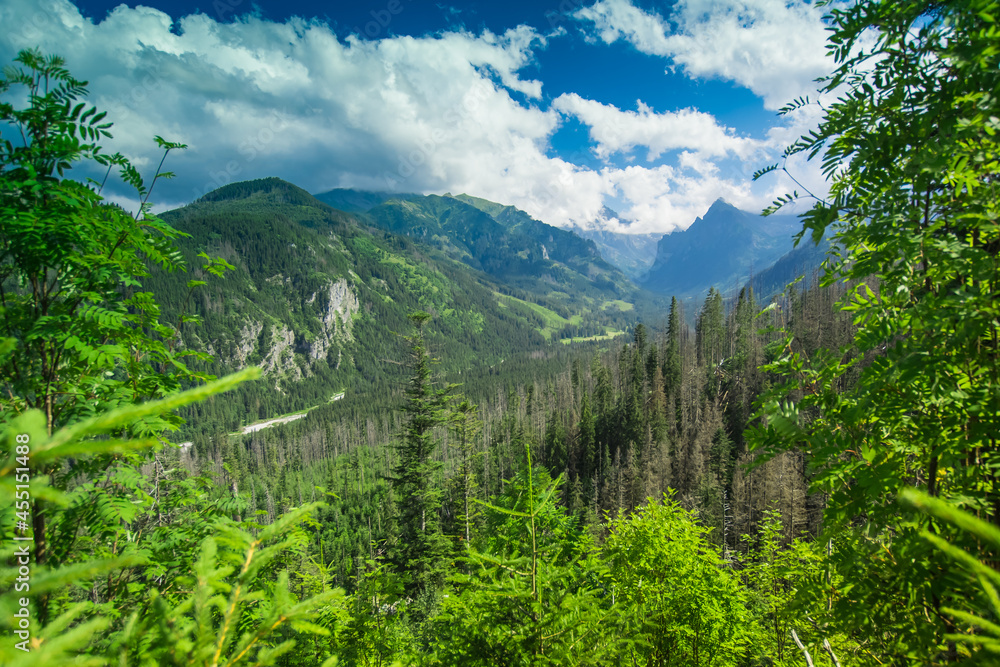 Tatry Tatry