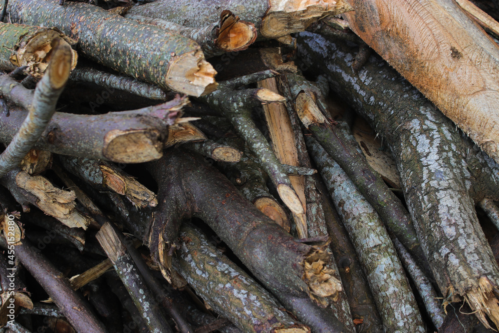 a stack of dry wood from the garden usually used as firewood in Javanese traditional kitchens. a stack of dry wood from the garden usually used as firewood in Javanese traditional kitchens.