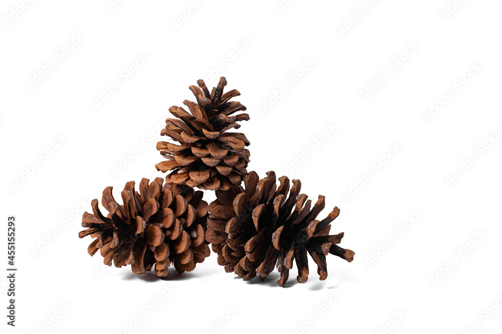 Pine cones on a white isolated background. Attributes of Christmas and New Year. Pine cones on a white isolated background. Attributes of Christmas and New Year.
