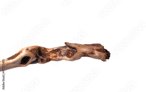 Dry brown tree branch on an isolated white background.