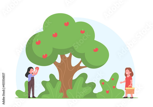 Children Pick Apples and Strawberry Harvest to Basket in Orchard. Little Girls Gardener Characters Harvesting Fruits