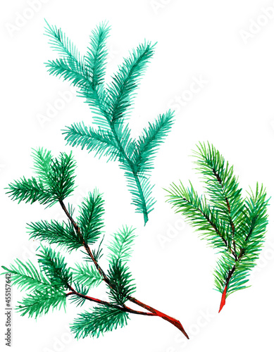 Watercolor illustration of Christmas tree branches set. Design elements for packaging design, logo, and symbols