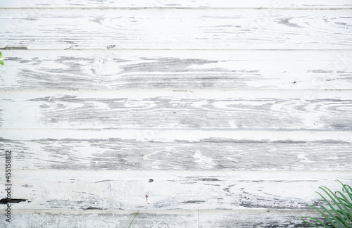 Wallpaper Mural White painted chipped wood texture with flat wooden boards background Torontodigital.ca