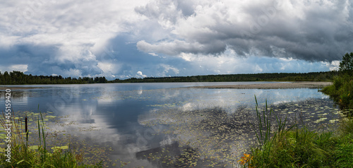Panoramic view of the forest lake, overgrown with grass.
