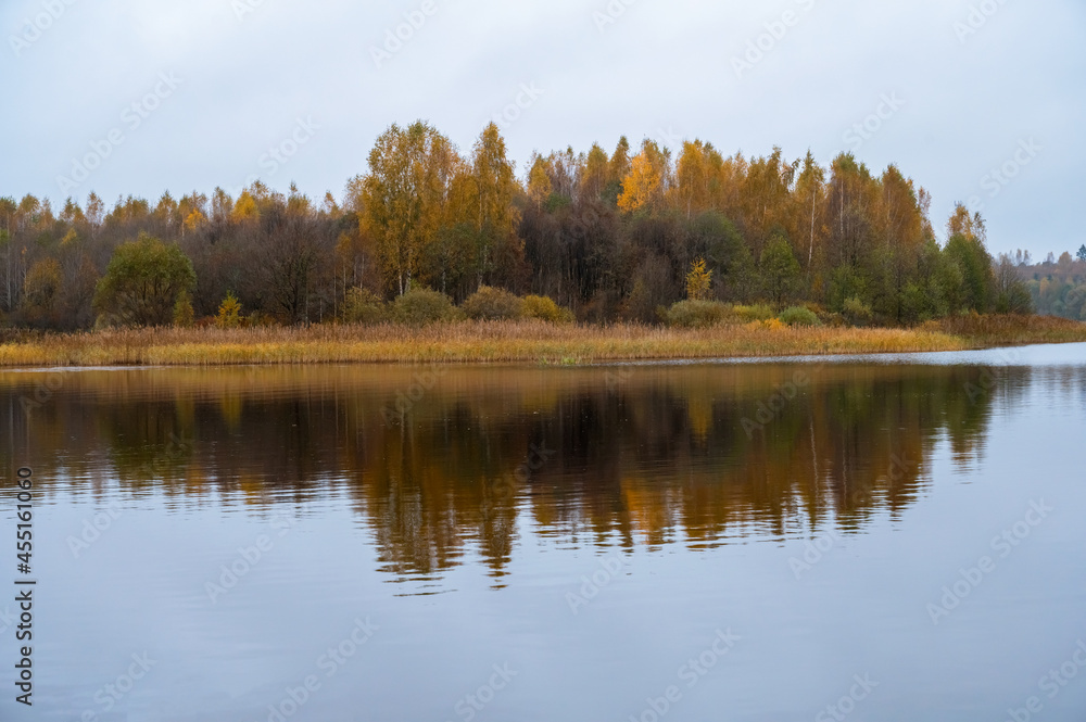 Rural autumn landscape. Trees with yellow leaves, beautiful forest reflecting from water. Mirror surface of river Rural autumn landscape. Trees with yellow leaves, beautiful forest reflecting from water. Mirror surface of river