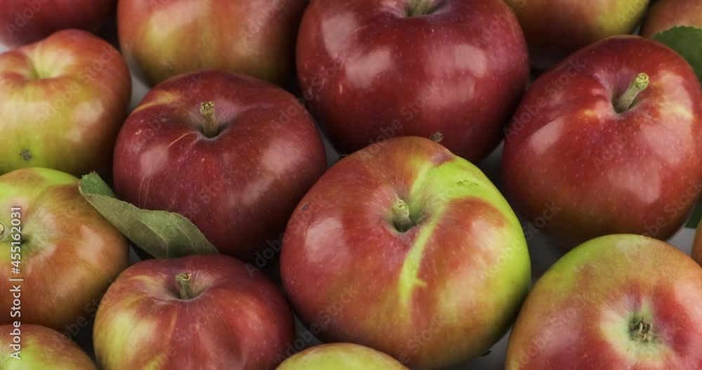 Panorama of juicy, ripe whole apples. Fruits background. Raw fruit and vegetables Panorama of juicy, ripe whole apples. Fruits background. Raw fruit and vegetables