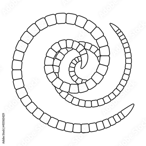 Parasites worms vector icon.Outline vector icon isolated on white background parasites.