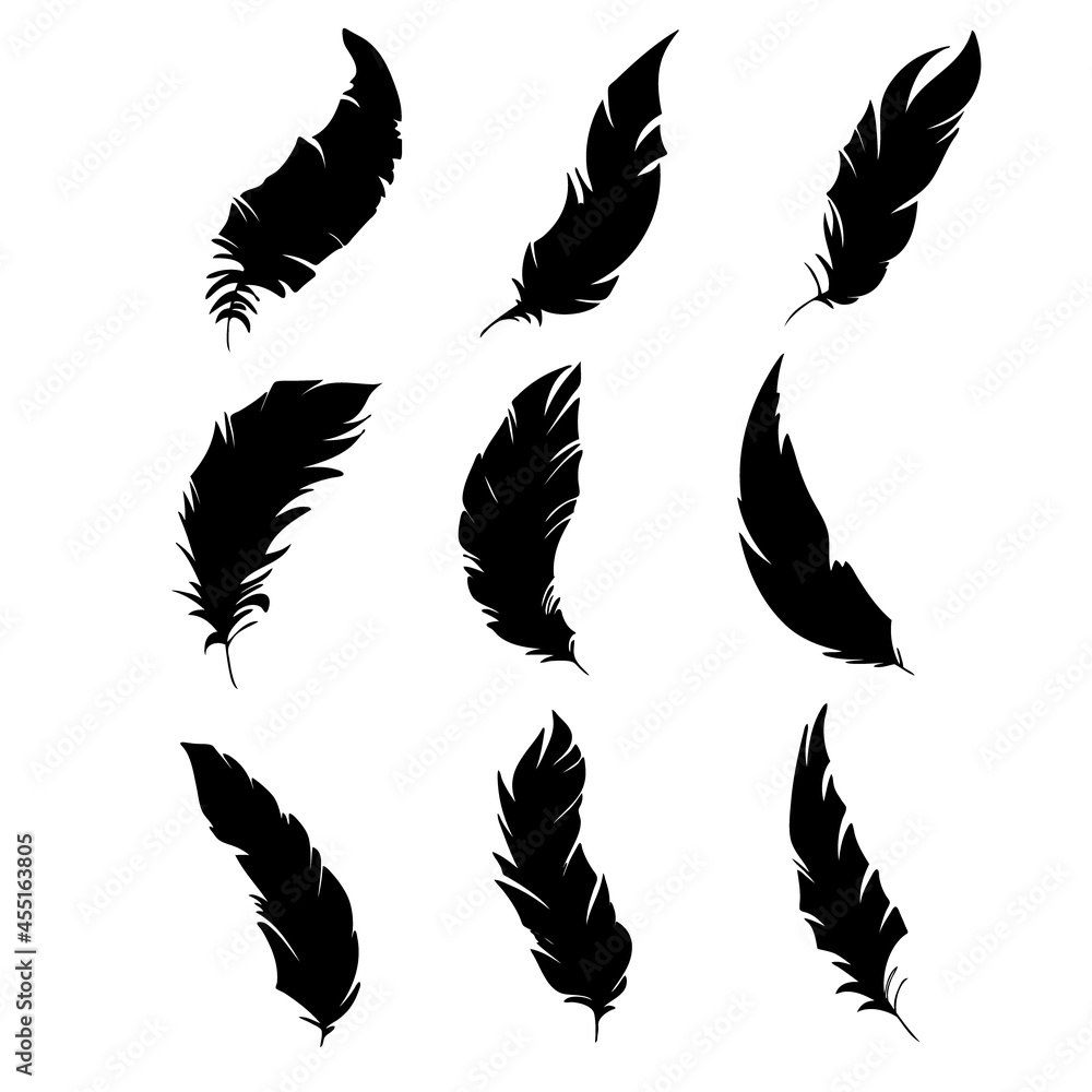 Feather of birds. Black feather silhouette for logo vector set Feather of birds. Black feather silhouette for logo vector set