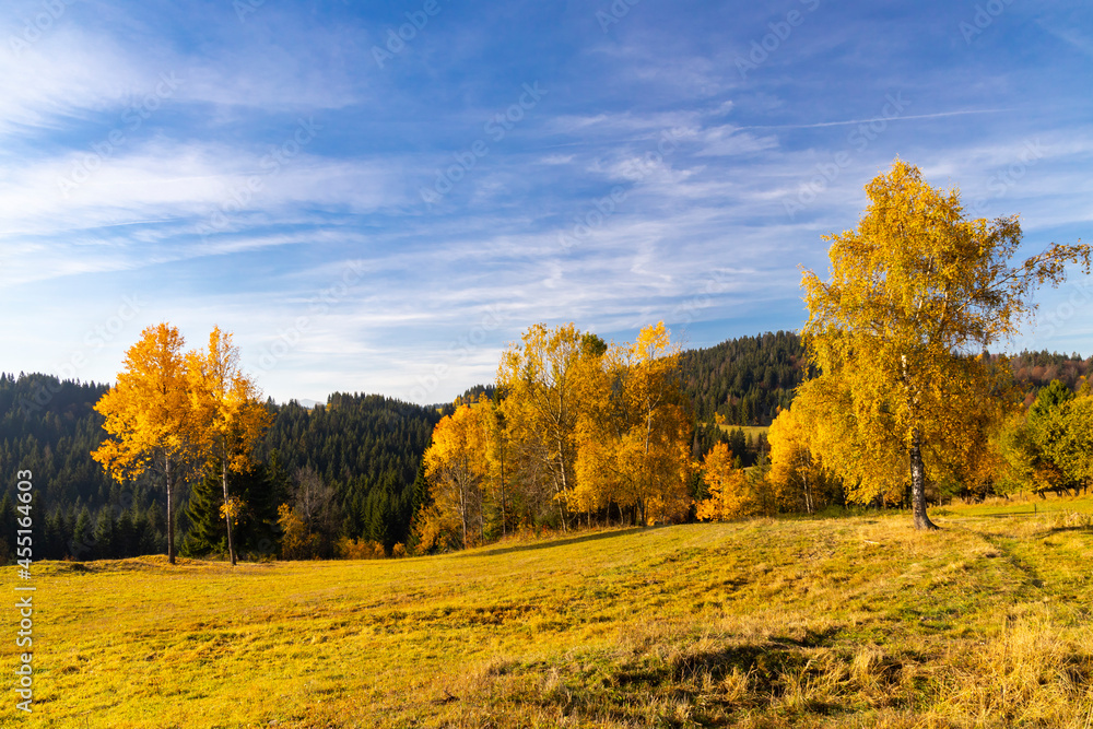 autumn landscape near saddle Beskyd in Slovakia