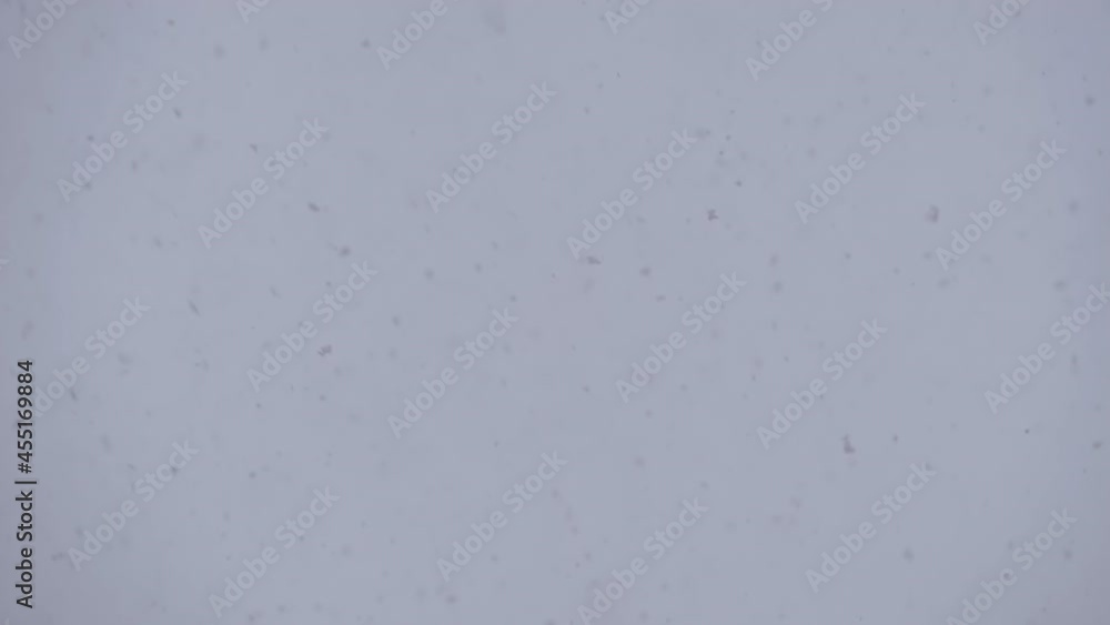 Snow falling: large and small snowflakes against grey sky, snowstorm weather - slow motion. Selective focus with bokeh. Winter abstract concept Snow falling: large and small snowflakes against grey sky, snowstorm weather - slow motion. Selective focus with bokeh. Winter abstract concept