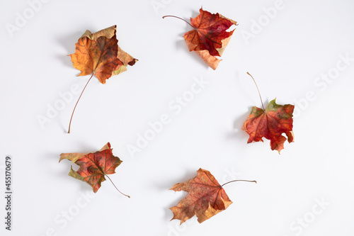 Autumn creative composition. Dried leaves on white background. Fall concept. Autumn background. Flat lay  top view  copy space