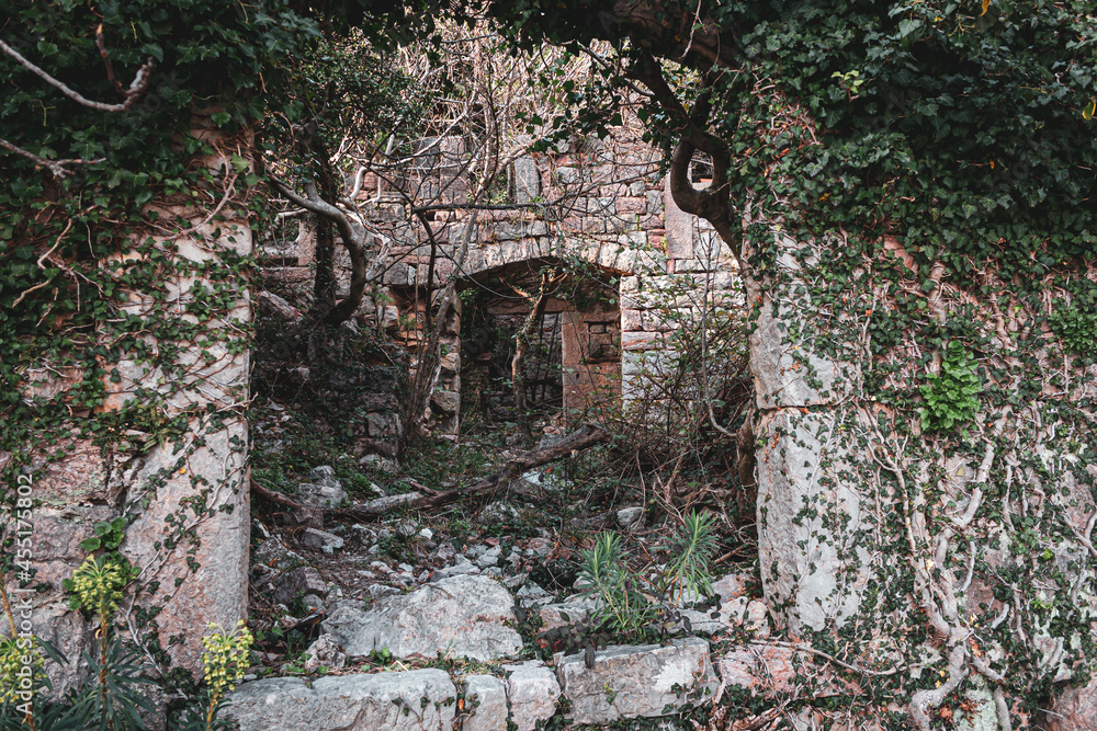The skeleton of a house destroyed by an earthquake overgrown with bushes