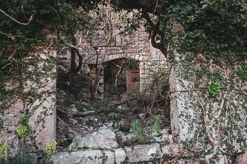 Fototapeta Naklejka Na Ścianę i Meble -  The skeleton of a house destroyed by an earthquake overgrown with bushes