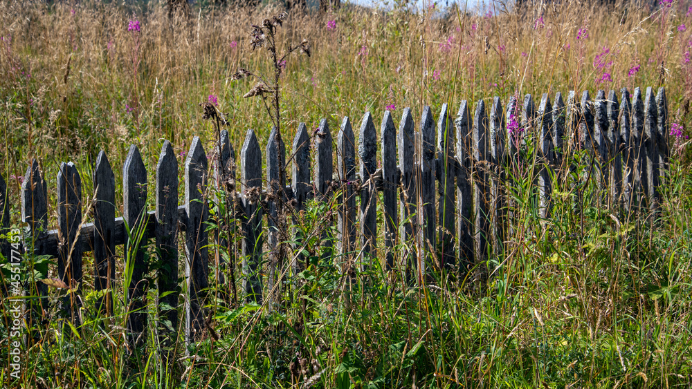 Obraz premium abandoned old fence with wild flowers being reclaimed by mother nature