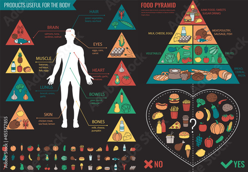 Health food infographic. Food pyramid. Healthy eating concept. Vector