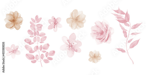 Pink flowers watercolor rose illustration. Watercolour Pink Beige floral isolated element set. 