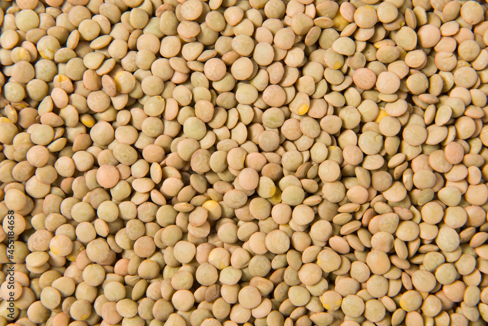 raw lentil culinaris beans textured background raw lentil culinaris beans textured background