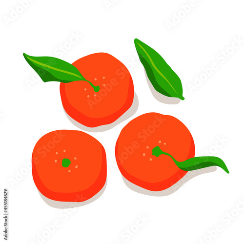 Tangerine or orange illustration. Fresh and healthy fruit.