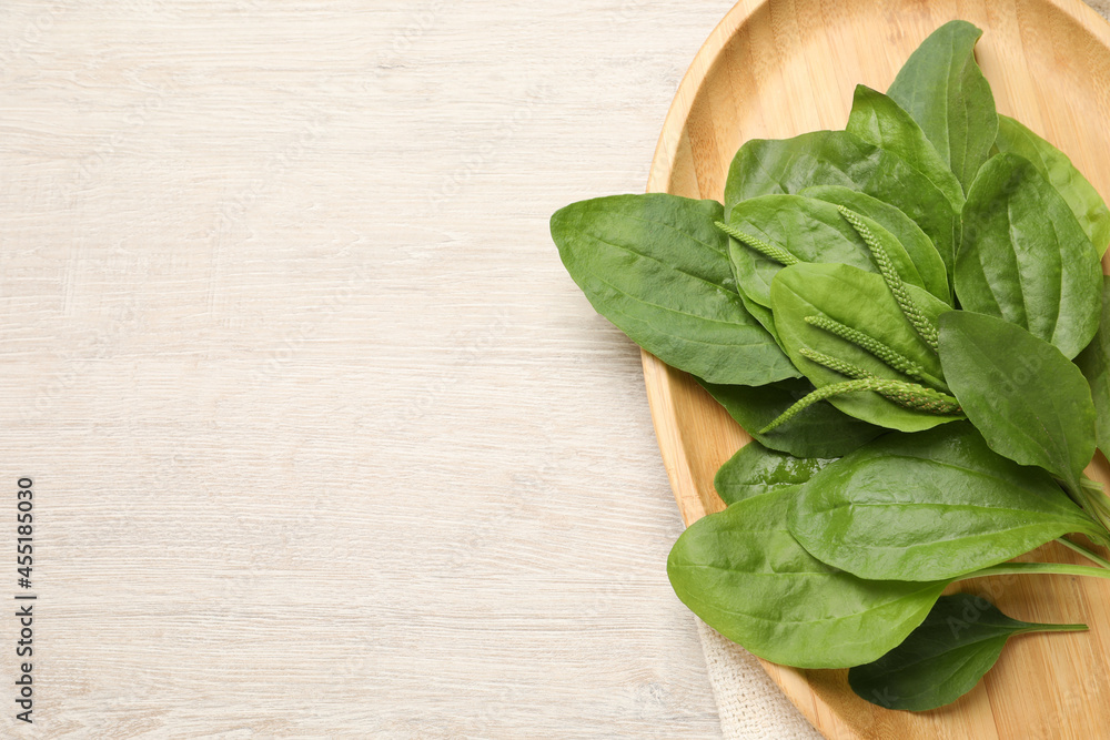 Green broadleaf plantain leaves on white wooden table, top view. Space for text Green broadleaf plantain leaves on white wooden table, top view. Space for text
