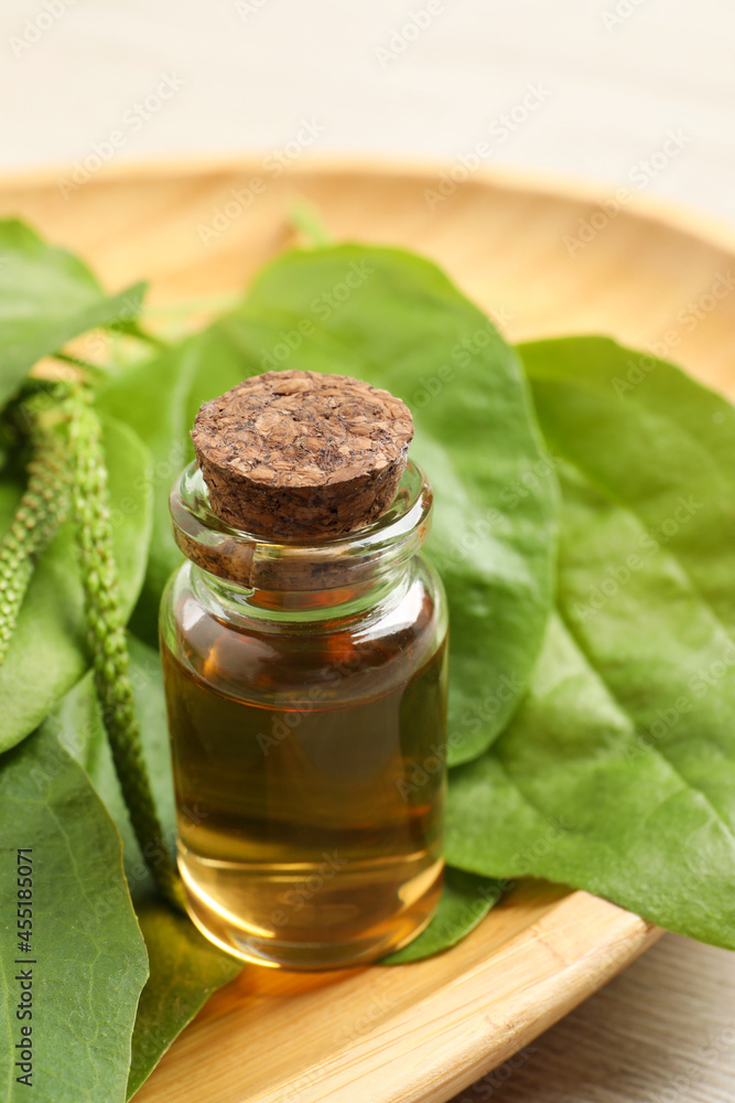 Bottle of broadleaf plantain extract and leaves on wooden plate, closeup Bottle of broadleaf plantain extract and leaves on wooden plate, closeup