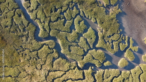 Abstract textures and veins cutting thru the wetlands of a tidal river system in Tasmanias Swan river area, Australia