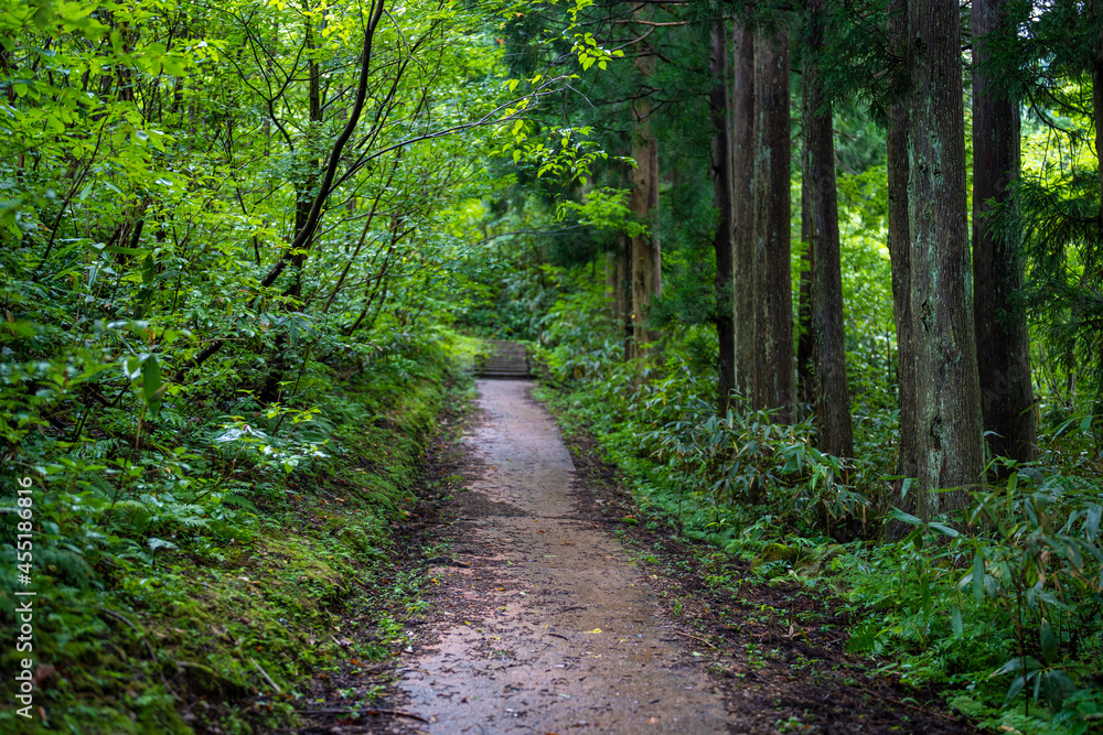 富山県富山市の立山連峰、鍬崎山、大品山、瀬戸蔵山の登山道の風景 A view of the trails in the Tateyama Mountain Range, Mt. Kuwasaki, Mt. Oshina, Mt. Setokura, Toyama city, Toyama prefecture. 富山県富山市の立山連峰、鍬崎山、大品山、瀬戸蔵山の登山道の風景 A view of the trails in the Tateyama Mountain Range, Mt. Kuwasaki, Mt. Oshina, Mt. Setokura, Toyama city, Toyama prefecture.
