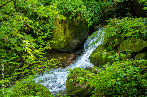 富山県富山市の立山連峰、鍬崎山、大品山、瀬戸蔵山の登山道の風景 A view of the trails in the Tateyama Mountain Range, Mt. Kuwasaki, Mt. Oshina, Mt. Setokura, Toyama city, Toyama prefecture. 