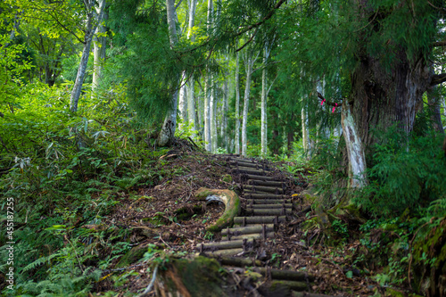                                                                                               A view of the trails in the Tateyama Mountain Range  Mt. Kuwasaki  Mt. Oshina  Mt. Setokura  Toyama city  Toyama prefecture. 