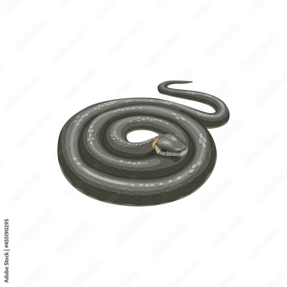Snake icon, pest control extermination and disinfection service, isolated vector. Domestic pest control and snakes extermination, dangerous animals disinfestation and disinfection Snake icon, pest control extermination and disinfection service, isolated vector. Domestic pest control and snakes extermination, dangerous animals disinfestation and disinfection
