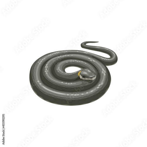Snake icon, pest control extermination and disinfection service, isolated vector. Domestic pest control and snakes extermination, dangerous animals disinfestation and disinfection