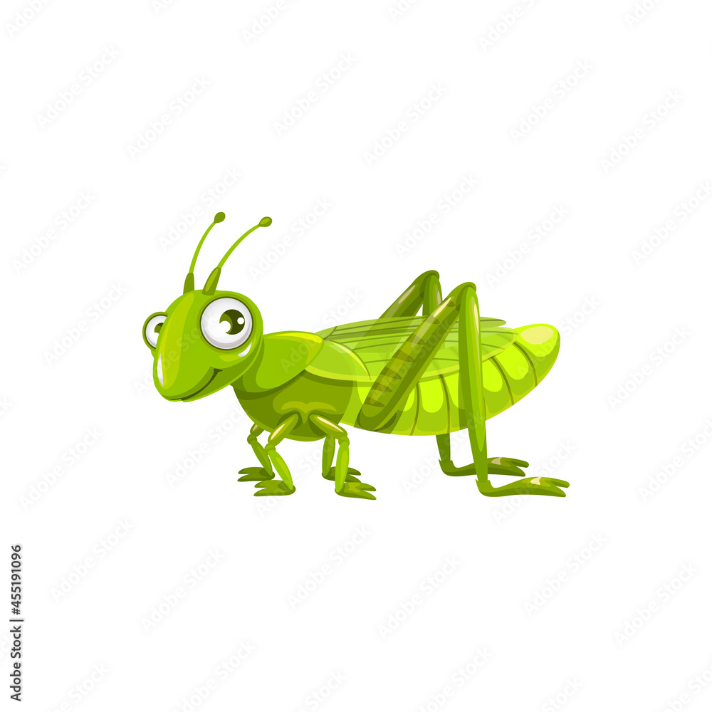 Fototapeta premium Cartoon grasshopper vector icon, funny locust insect with cute face and big eyes. kids club or pest control service mascot, design element, wild creature isolated on white background