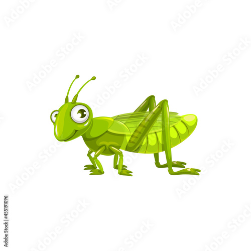 Cartoon grasshopper vector icon, funny locust insect with cute face and big eyes. kids club or pest control service mascot, design element, wild creature isolated on white background
